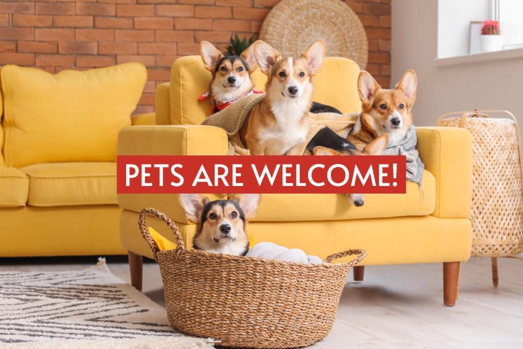 Pet Friendly! Hot Tub, 2Mins From Main, Fire Pit Villa เฟรเดอริกส์เบิร์ก ภายนอก รูปภาพ